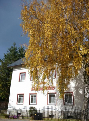 Villa Plischke